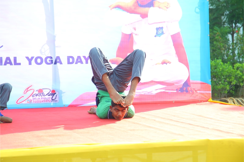 Yoga Day 2024