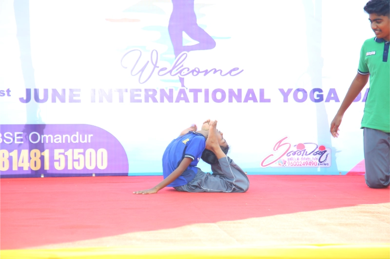 Yoga Day 2024