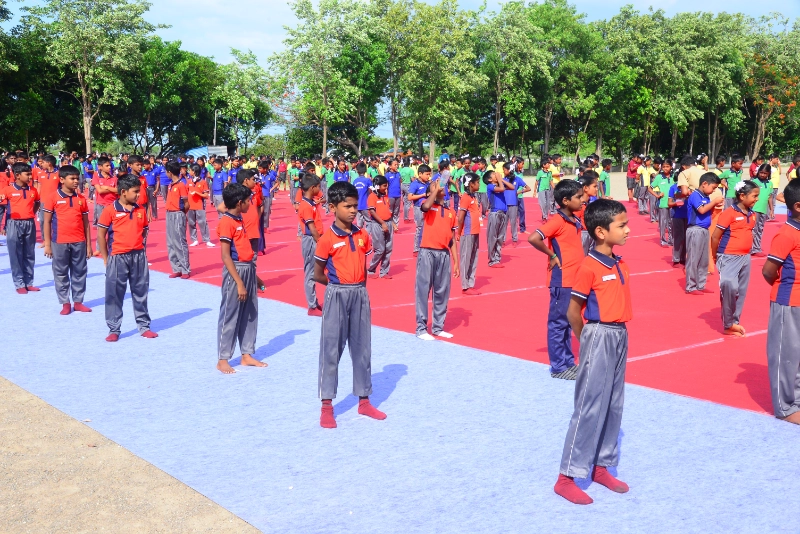 Yoga Day 2024
