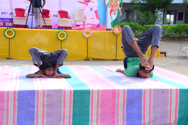 Yoga Day 2024