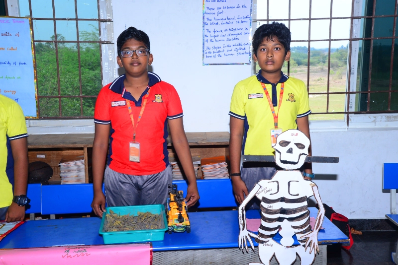 Science Exhibition 2024