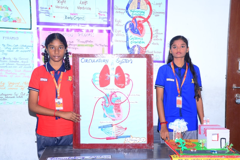 Science Exhibition 2024