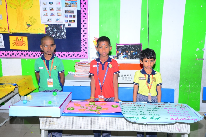Science Exhibition 2024
