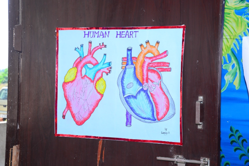 Science Exhibition 2024