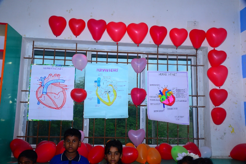 Science Exhibition 2024