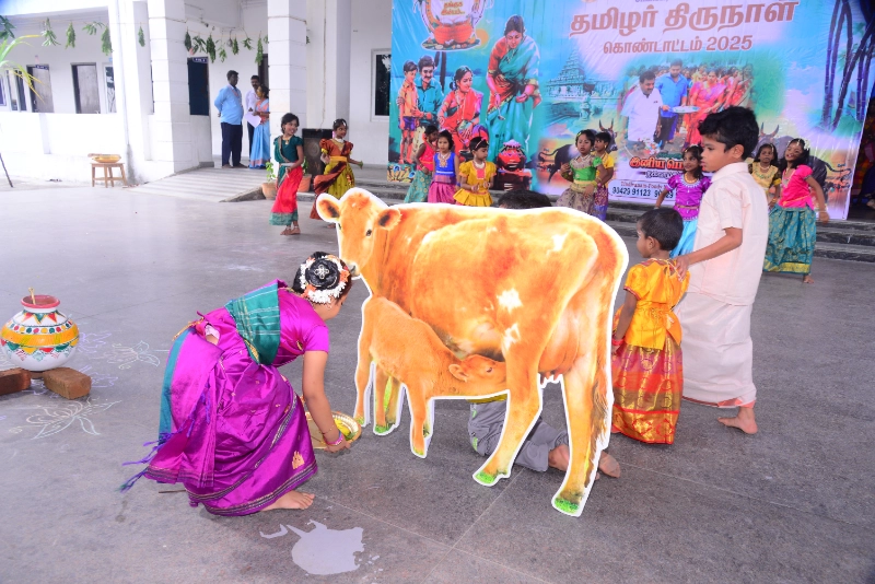 Pongal Celebration 2024