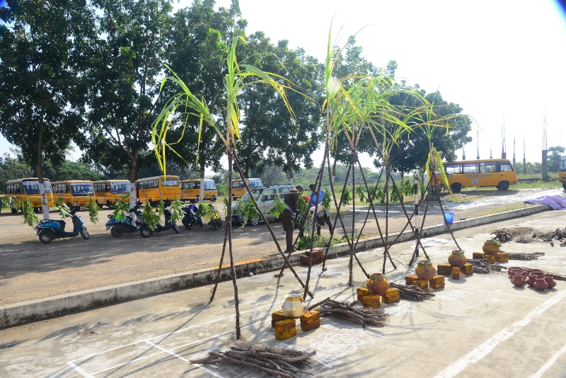 Pongal Celebration 2024