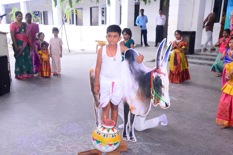 Pongal Celebration 2024