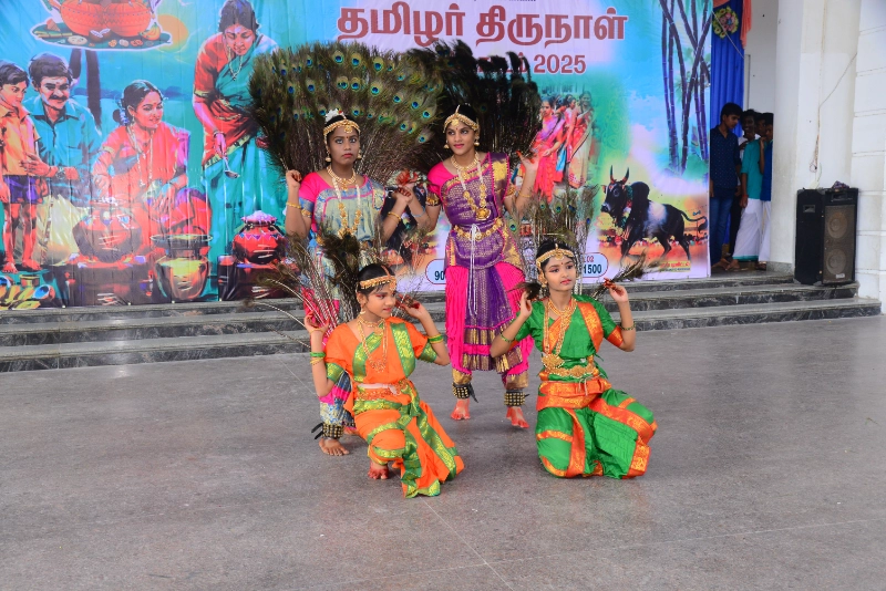 Pongal Celebration 2024