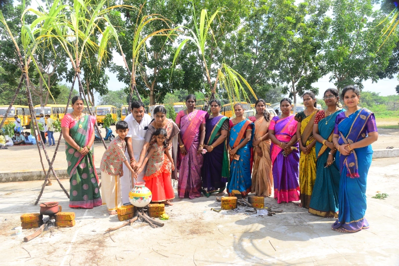 Pongal Celebration 2024