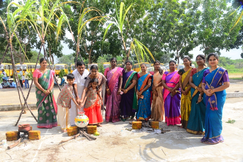 Pongal Celebration 2024