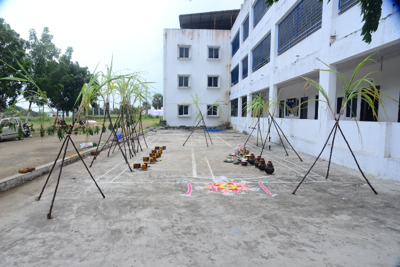 Pongal Celebration 2024