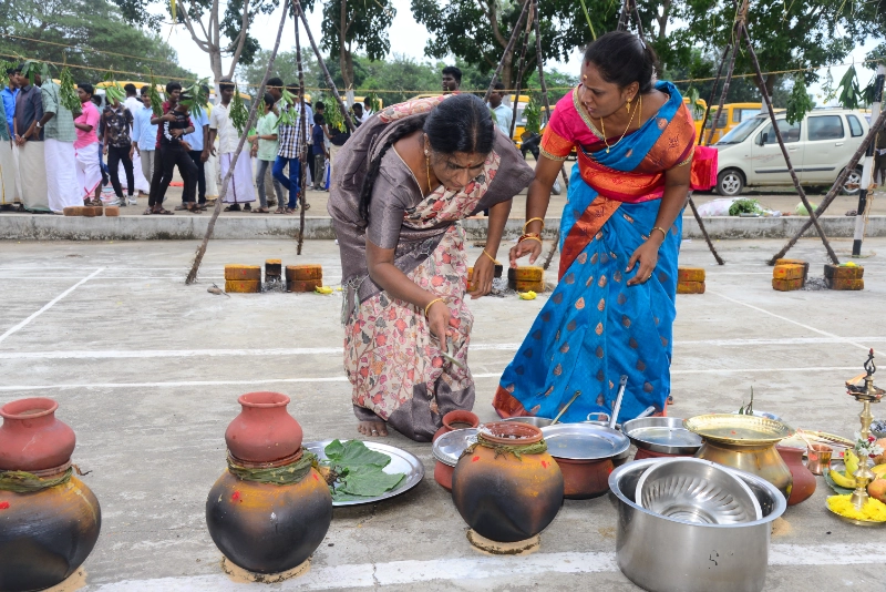 Pongal Celebration 2024