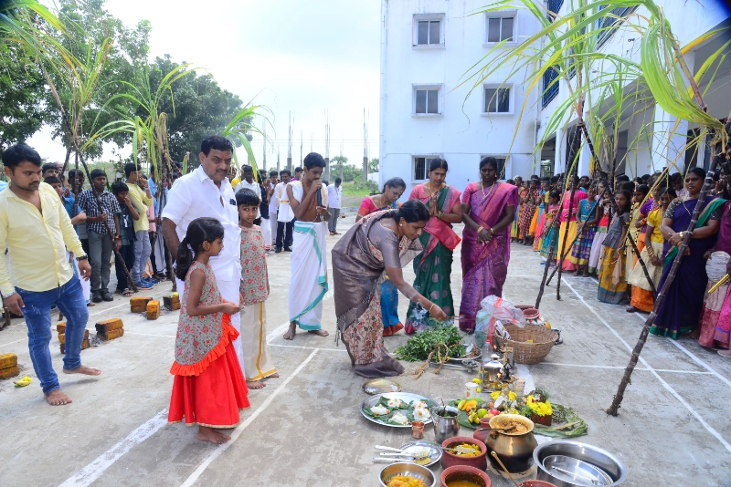 Pongal Celebration 2024