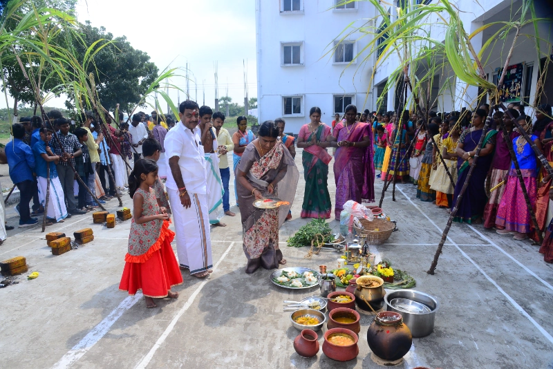 Pongal Celebration 2024