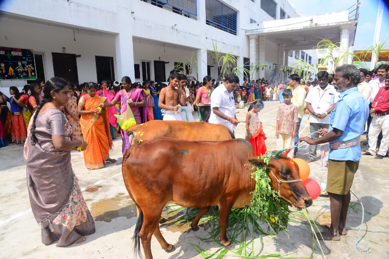 Pongal Celebration 2024
