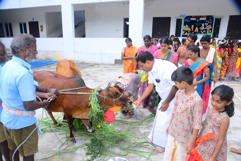 Pongal Celebration 2024
