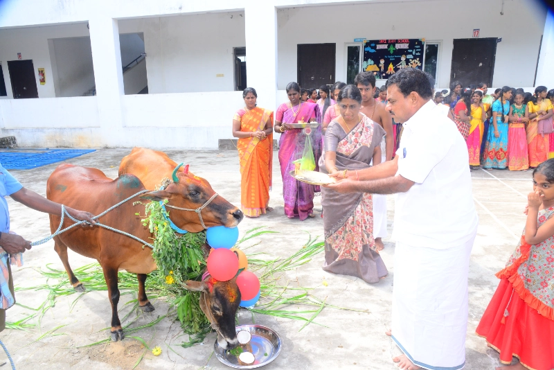 Pongal Celebration 2024