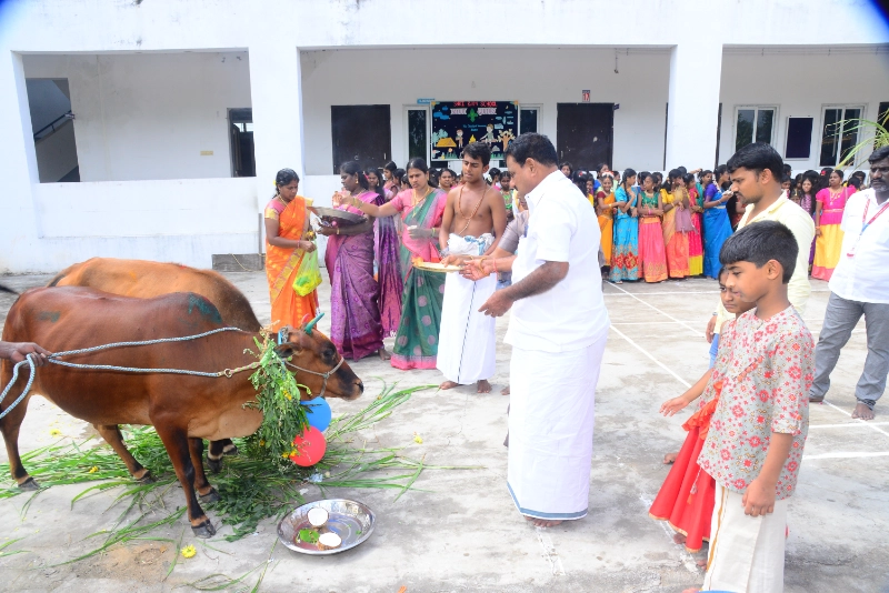 Pongal Celebration 2024